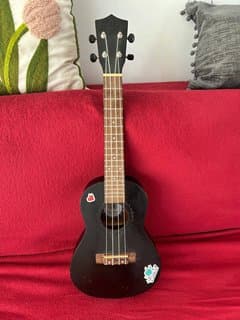 Concert Ukulele with Case