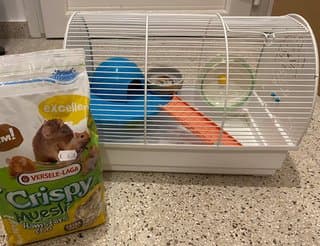 Hamster cage