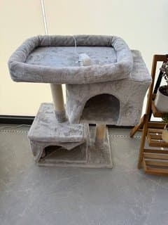 Кошачья когтеточка