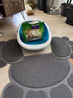 Used litter box, filler, and mats