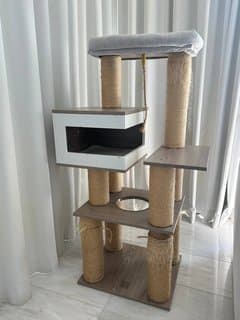 Cat house