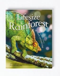 Lifesize Rainforest Encyclopedia for Kids