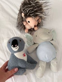 Baby Toys