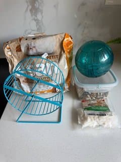 Bonus: Hamster Ball, Wheel, Litter, Food, Bedding